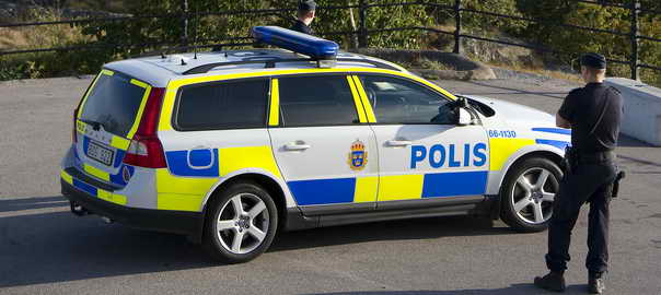 Polisbil
