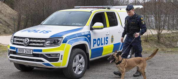 Hundfordon
